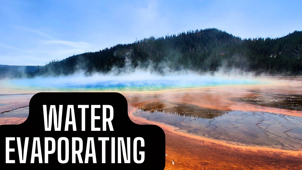 Timelapse Water Evaporation YouTube