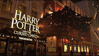 Celebrating 6 Years of Harry Potter and the Cursed Child on Broadway