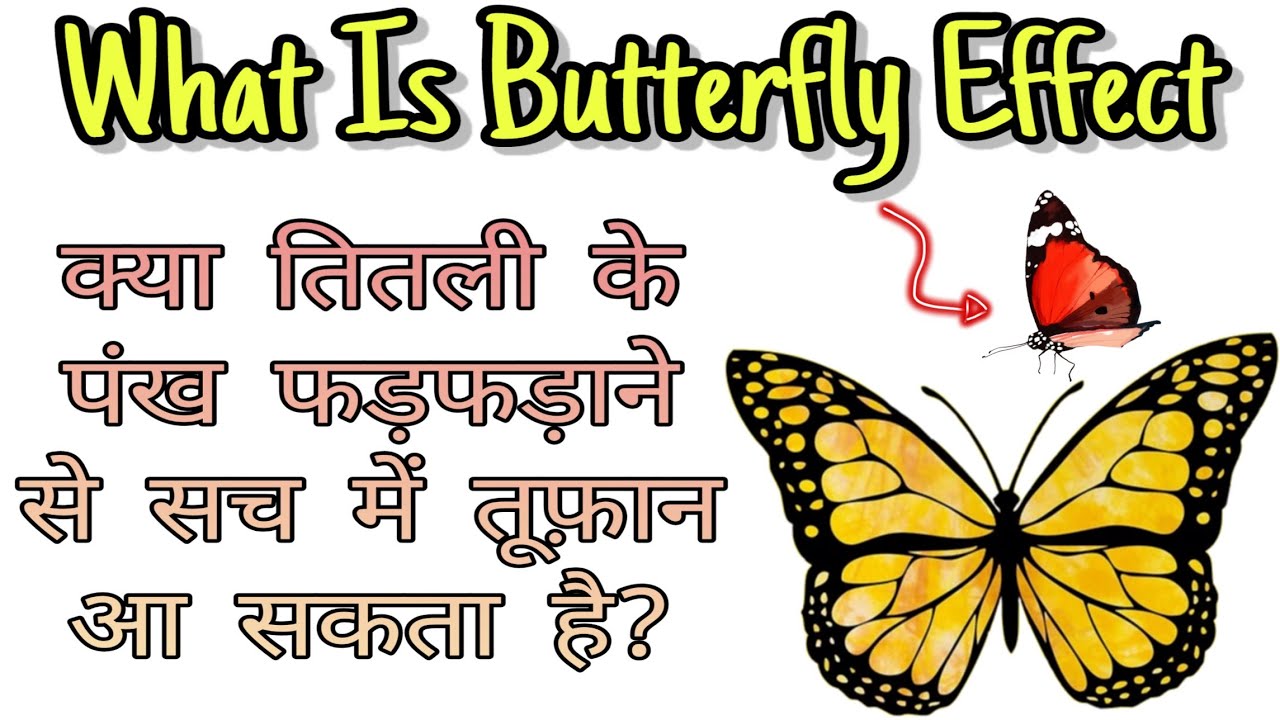 What Is The Butterfly Effect Theory || Mystery Of Butterfly Effect ...