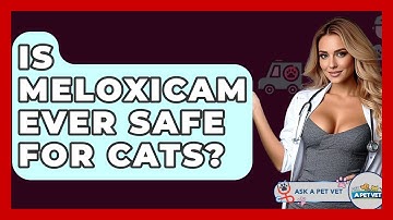 Is Meloxicam Ever Safe For Cats? - Ask A Pet Vet