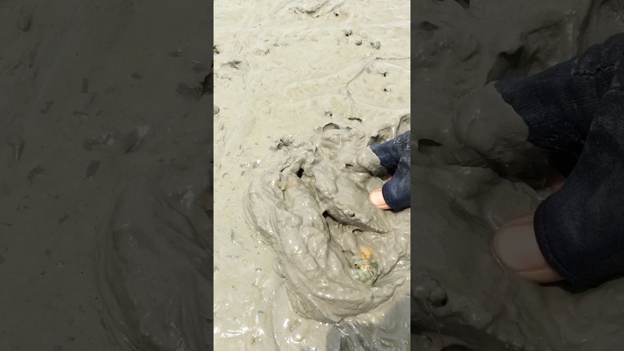 mancing belut bonus kepiting 