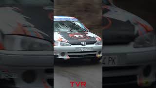 Rally dei Laghi 2024 #foryou #rally #rallycar #cars #wrc #peugeot #peugeotsport #shorts #peugeot106