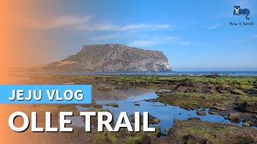 Explore the BEAUTIFUL Jeju Olle Hiking Trails on Foot!  | KOREA VLOG