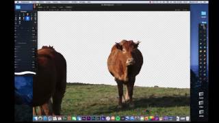 tuto pixelmator : rajouter du bokeh YouTube
