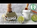 САМАЯ ЭФФЕКТИВНАЯ ДЕЗИНФЕКЦИЯ СЕМЯН. Предпосевная обработка семян