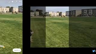 Adobe Sensi Auto Crop AI