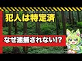 【闇深】「絶対に逃がさない」容疑者が特定されているのに逮捕できない理由『野添希望さん失踪事件』【ずんだもん解説】