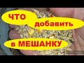 Яйценоскость Кур Несушек//Состав Мешанки для Кур//Можно ли Давать Курам Хлеб?