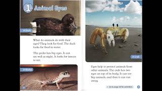Oxford RnD Level 1 Eyes kawfFRq9 e8