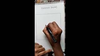 Trystar Zentangle