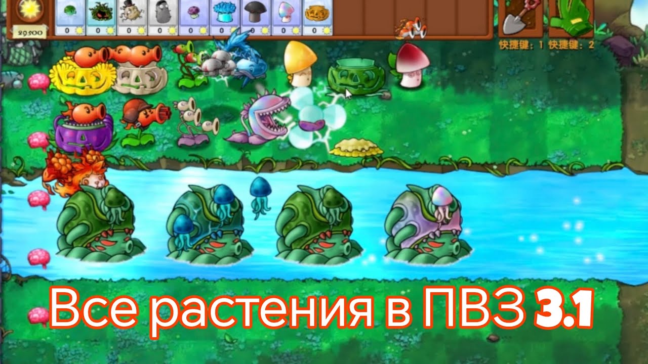 Все растения в ПВЗ 3.1