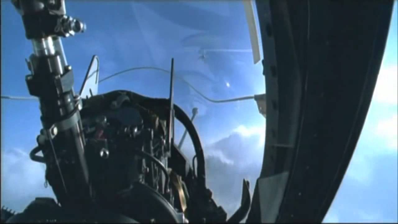 ELEGANT BIRD VS. TRANCE