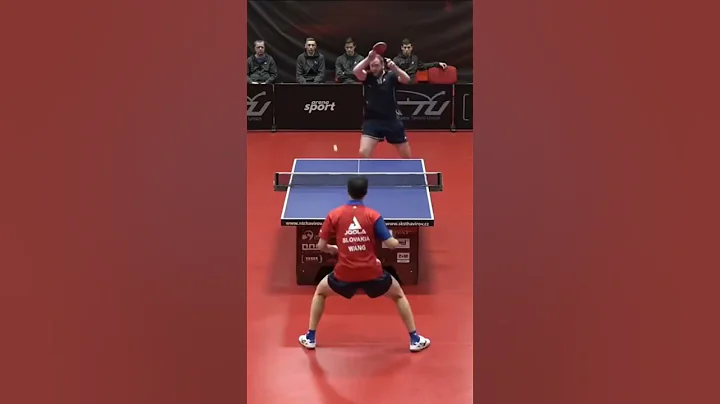 Absolutely INSANE Table Tennis Defense from Yang Wang ! #tabletennis #defence #proplayer - DayDayNews