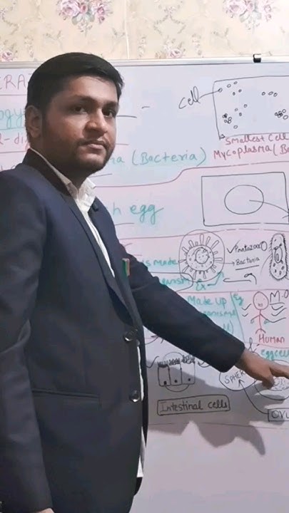 different-types-of-cell-in-human-body-youtube