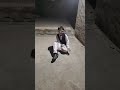 Teri jhalak sarfi#funny #shortvideo