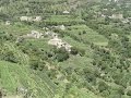 واكبدي اللي من الهجره منفطرة واكبدي اللي من الهجره منفطرة