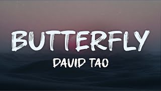david tao - butterfly (lyrics)