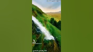 تلاوة القارئ عبدالرحمن مسعد #حالات_واتس #واتساب #أن_ربي_لطيف_خبير_9li9 #اكسبلور #دويتو #المصحف #ال