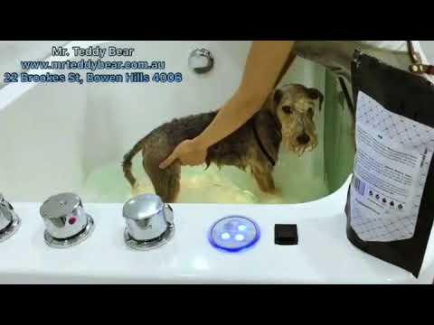 Mr. Teddy Bear Signature microbubble spa bath