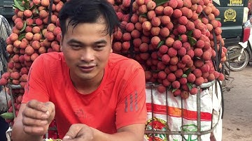 Cập nhật giá vải Lục Ngạn sáng 30/6/2020 | Vải thiều Vùng Cao | đang vào chính vụ | Bản sắc miền núi