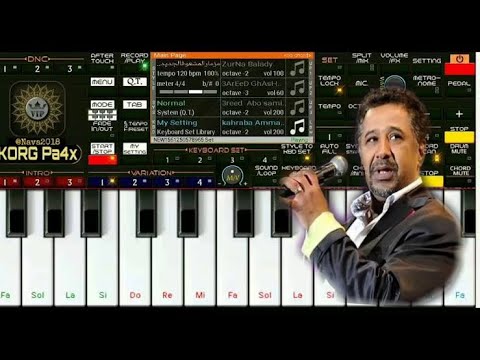 أجمل عزف لأغنية الشاب خالد يمينة Org 2021