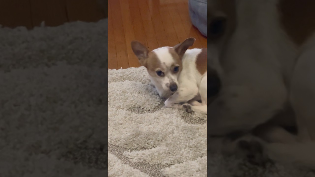 He looked like a man