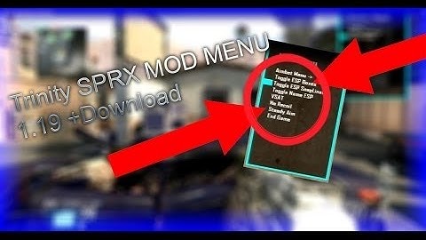 [Bo2/PKG] TRINITY V2 NON HOST (Aimbot,ESP,Endgame and more)