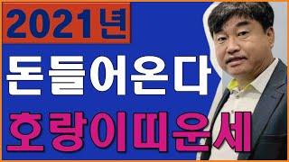 2021년 운세 신축년 돈들어오는 호랑이띠?! &#39;&#39;호랑이띠 운세 대박&quot; / 2021년…