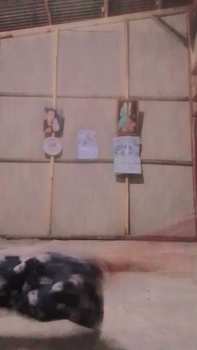 Download lagu sakit badan ku