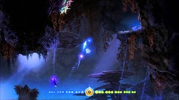 Ori and the Blind Forest Exploit(?)