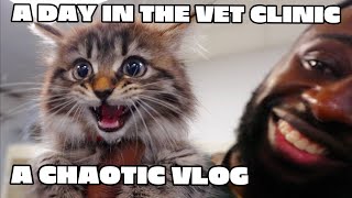 A CHAOTIC DAY IN THE LIFE AT A VET CLINIC