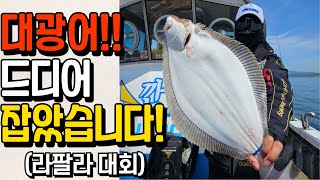 광어 다운샷 대회! 드디어 대광어 잡았습니다~! #광어다운샷채비 / 단차, 웜 색상, 운영법, 챔질 타이밍[라팔라 대회 - 대천항 깐부호]