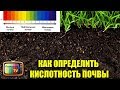 КАК ОПРЕДЕЛИТЬ КИСЛОТНОСТЬ ПОЧВЫ