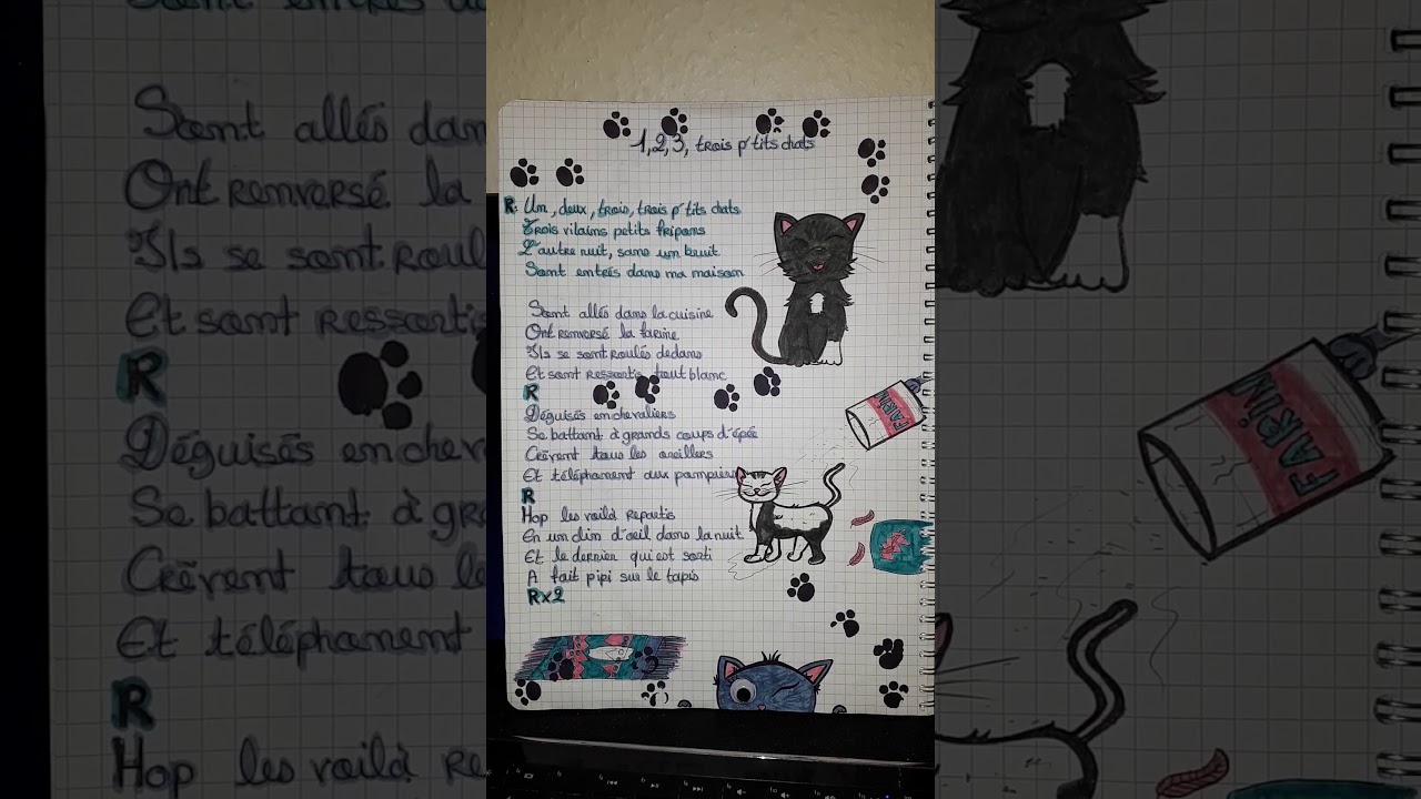Chanson pour enfants 1,2,3 , 3 p tits chats - YouTube