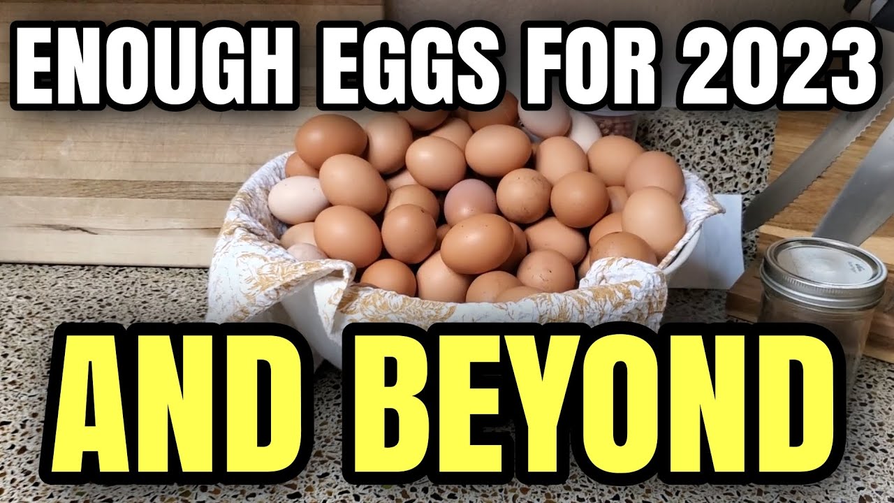 OUR PLAN for the EGG SHORTAGE in 2023...and BEYOND! harvestrightlove