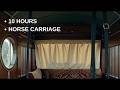 10 Hours Horse Carriage Ride Ambience | Hooves Sound