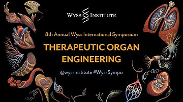Therapeutic Organ Engineering