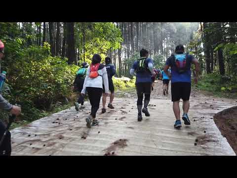 Video: Festival Trail-running Terbaik Untuk Lari Di Luar Ruangan