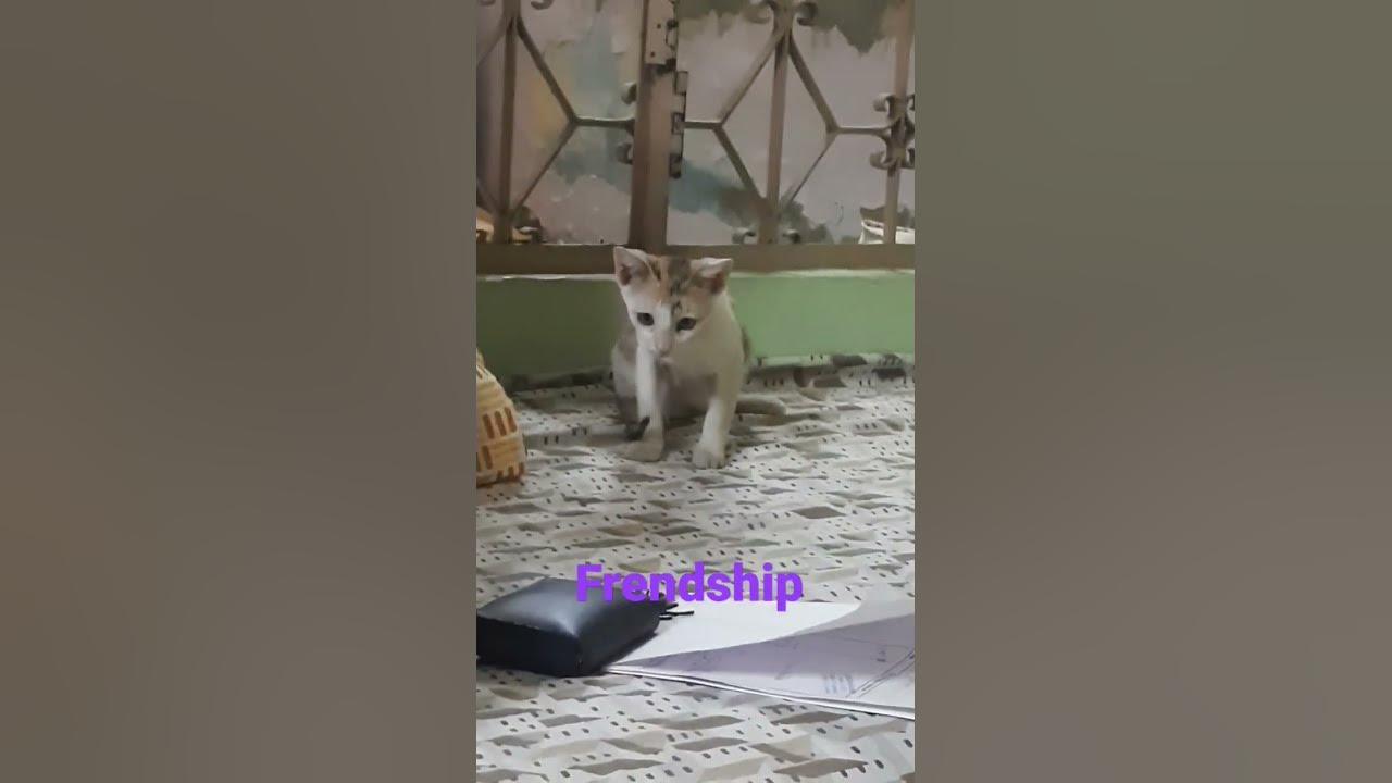 dosti-bani-rahe-friendship-youtube