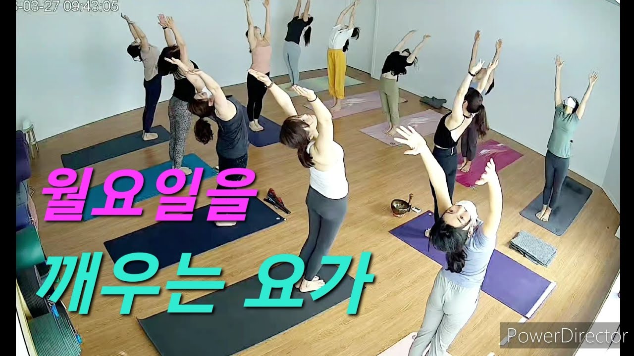 [월요일을 깨우는 요가_편안하게] 시바난다요가 수리야나마스카라 #요가하늘 #송탄요가 #평택요가 #suryanamaskar # ...