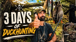 Mallard Hunting Three Ways - Boat, Kayak and Land