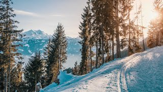 Schneealpe - Windberg - Wandern Steiermark - Hiking in Austria - Niederösterreich