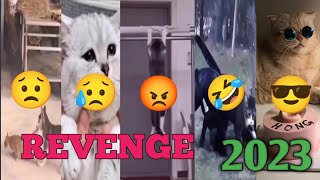 REVENGE 2023:_Short film comedy genre😅