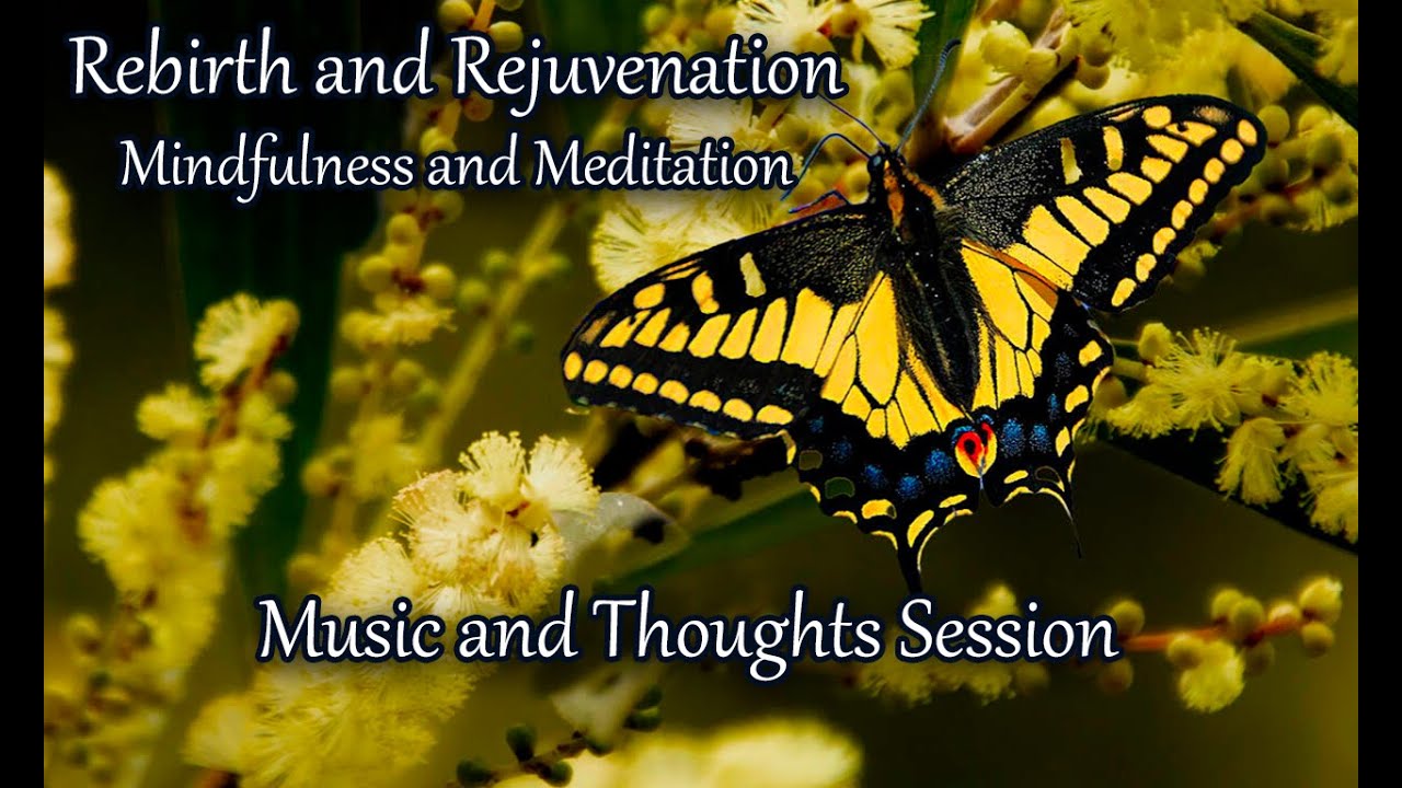 Find Calm and Renewal Through Nature's Music: A Butterfly Meditation + Mindfulness Journey.