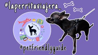 WHERE TO GO with your PET    PET FRIENDLY GUIDE  LA PERRITA VIAJERA