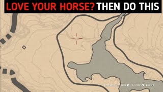 It Takes 5 Minutes To Get The Only Thing Which Makes Your Horse More Powerful - RDR2