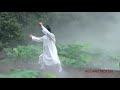 Wudang Tai Chi 13 by Master Chen Shiyu