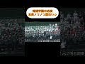 報徳学園の応援全員ノリノリでクソ面白い🤣#報徳学園#明石商業