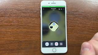 Apple iPhone 8 Plus Viber App Incoming Voice & Video Calls. iOS 15.5 screenshot 4