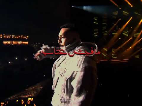 وعلى الأندال مفيش عتاب